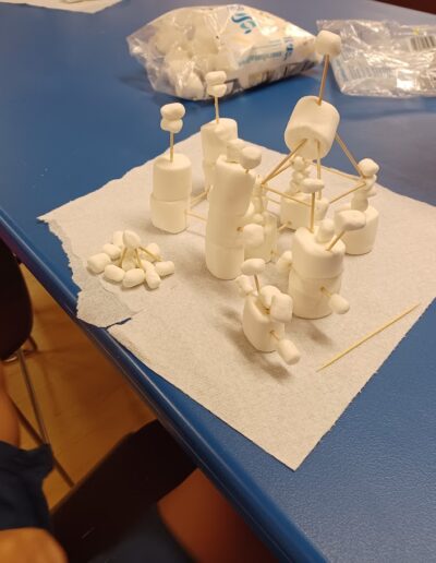 Marshmallow and Toothpick Challenge work