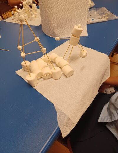 Marshmallow and Toothpick Challenge work