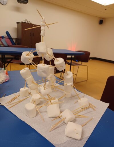 Marshmallow and Toothpick Challenge work