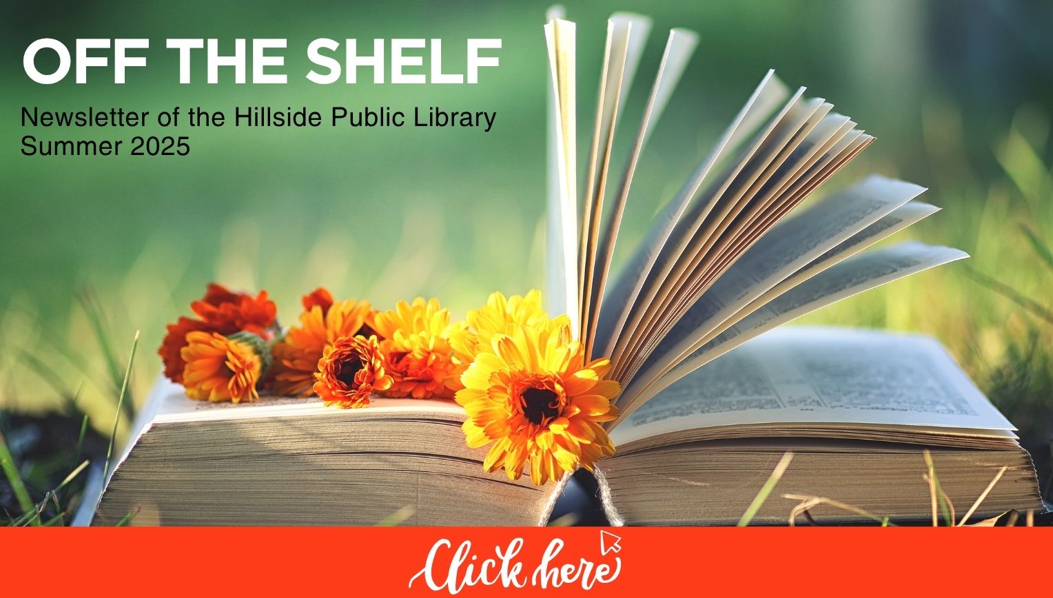 Hillside Public Library Summer 2025 Newsletter