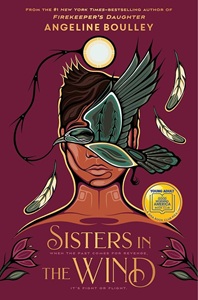 Sisters in the wind bookcover