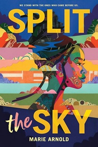 Split the sky bookcover